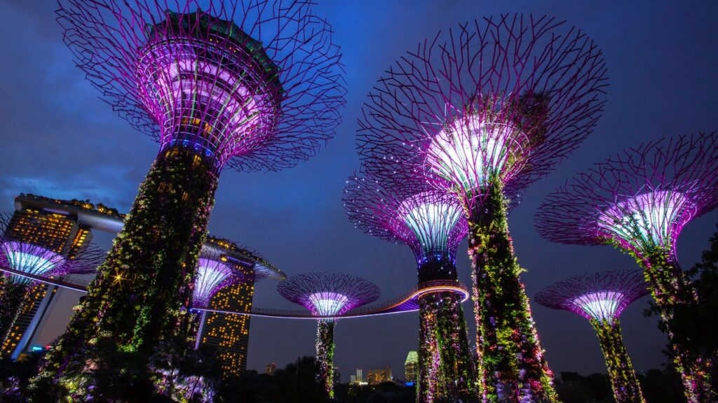 garden by the bay, singapore, night-3332356.jpg