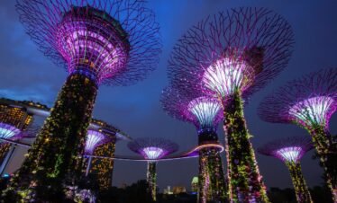 garden by the bay, singapore, night-3332356.jpg